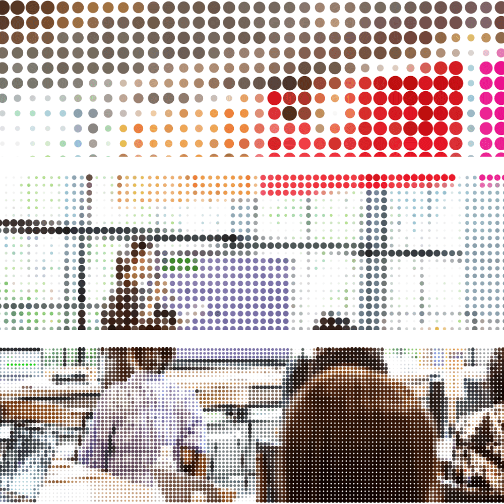 program image