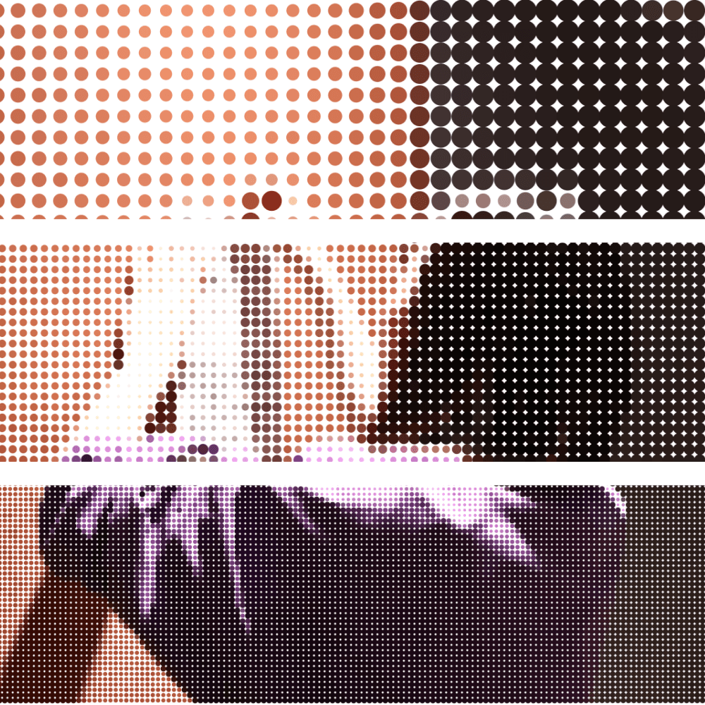 program image