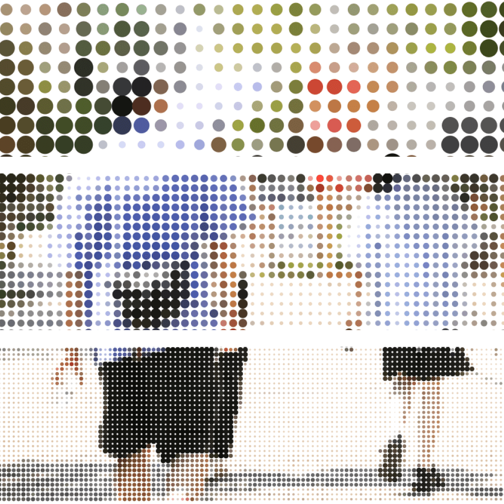 program image