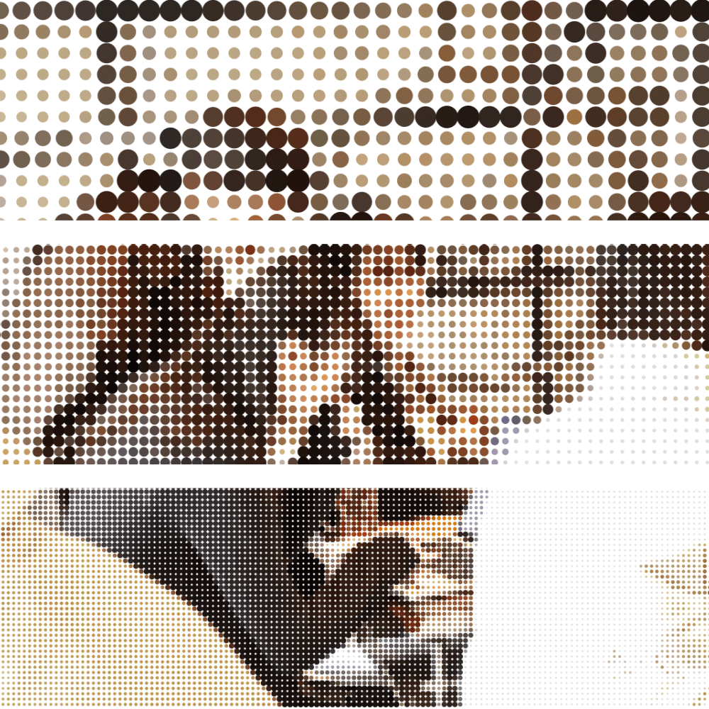 program image