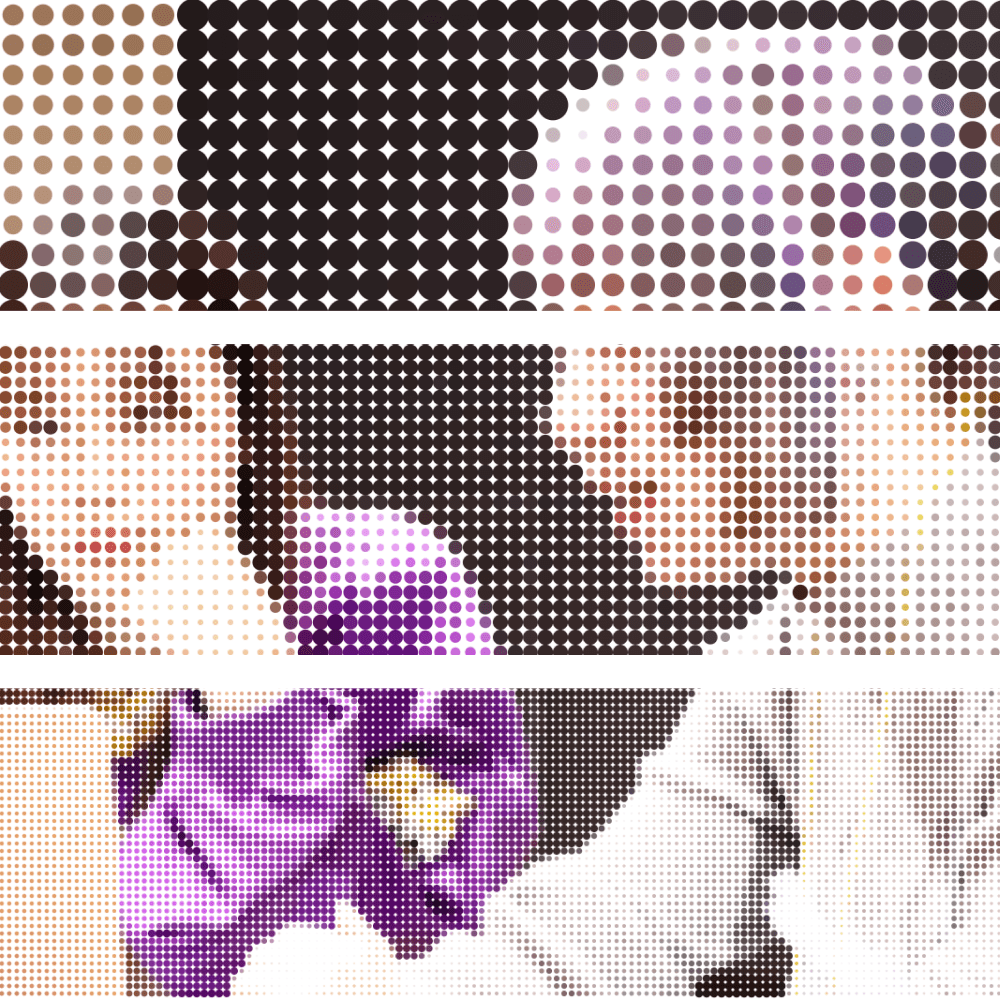 program image