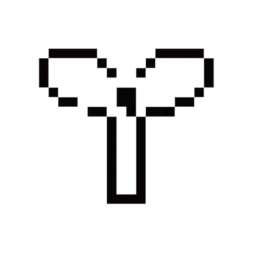 Icon 1