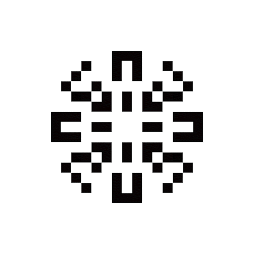 Icon 8